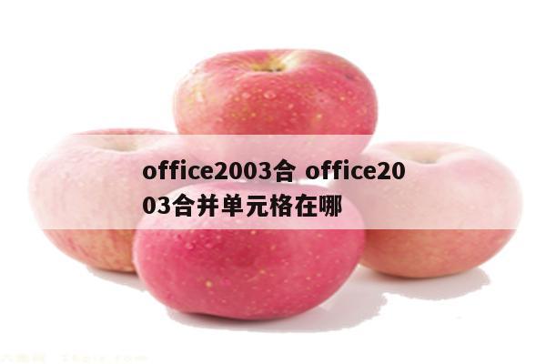 office2003合 office2003合并单元格在哪