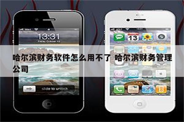 哈尔滨财务软件怎么用不了 哈尔滨财务管理公司