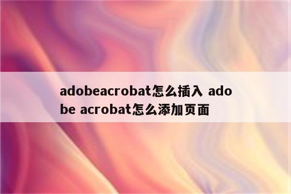 adobeacrobat怎么插入 adobe acrobat怎么添加页面