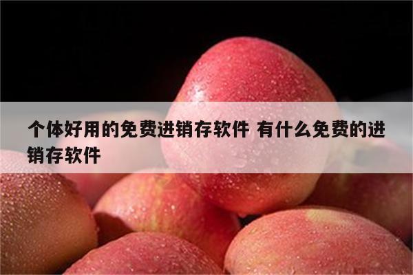 个体好用的免费进销存软件 有什么免费的进销存软件