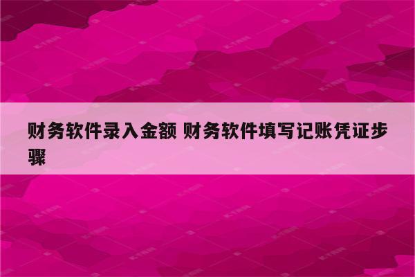 财务软件录入金额 财务软件填写记账凭证步骤