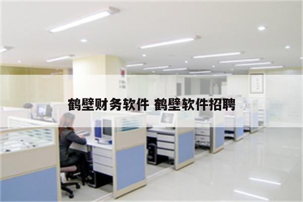 鹤壁财务软件 鹤壁软件招聘
