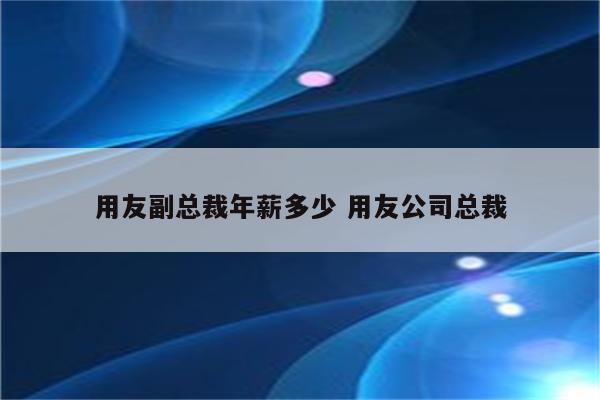用友副总裁年薪多少 用友公司总裁