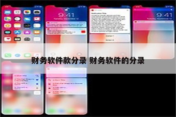 财务软件款分录 财务软件的分录