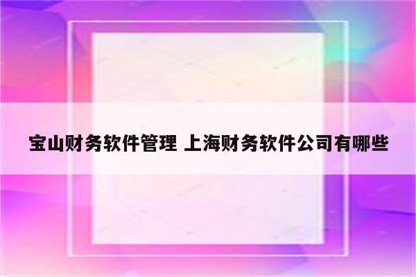 宝山财务软件管理 上海财务软件公司有哪些