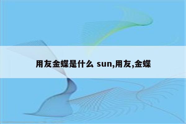 用友金蝶是什么 sun,用友,金蝶