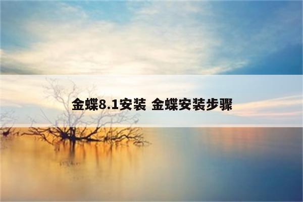 金蝶8.1安装 金蝶安装步骤