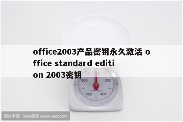 office2003产品密钥永久激活 office standard edition 2003密钥