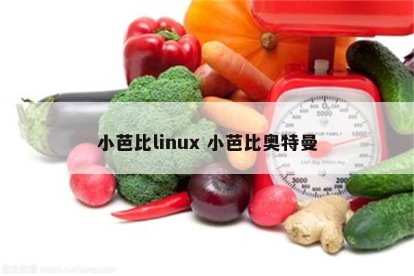 小芭比linux 小芭比奥特曼