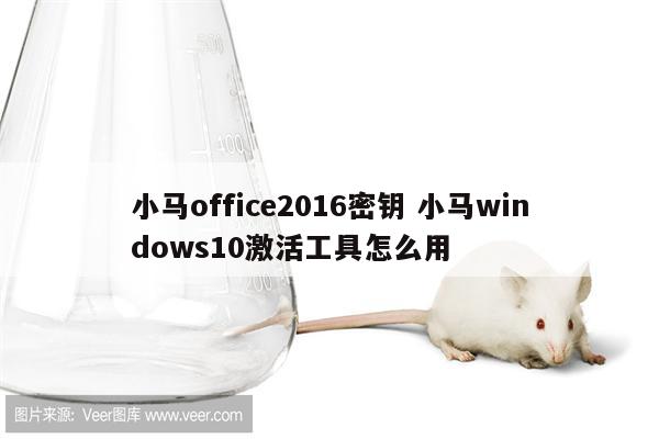 小马office2016密钥 小马windows10激活工具怎么用