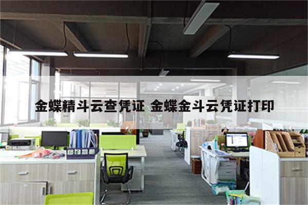 金蝶精斗云查凭证 金蝶金斗云凭证打印
