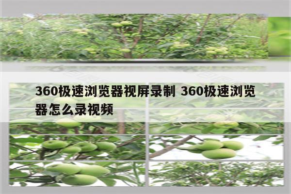360极速浏览器视屏录制 360极速浏览器怎么录视频