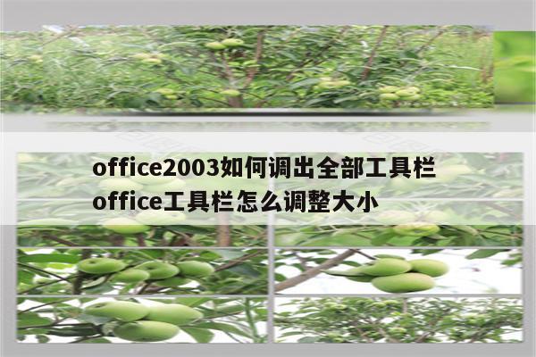 office2003如何调出全部工具栏 office工具栏怎么调整大小