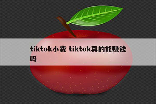 tiktok小费 tiktok真的能赚钱吗