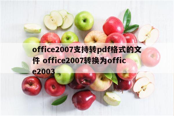 office2007支持转pdf格式的文件 office2007转换为office2003