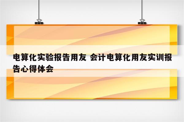 电算化实验报告用友 会计电算化用友实训报告心得体会