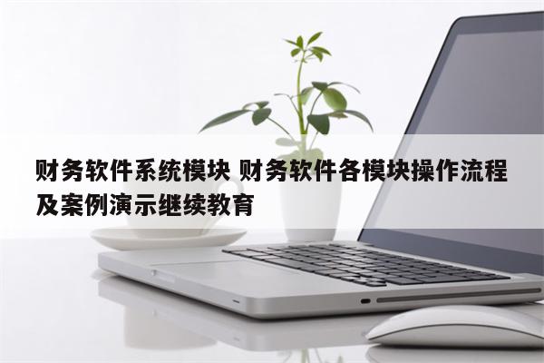 财务软件系统模块 财务软件各模块操作流程及案例演示继续教育