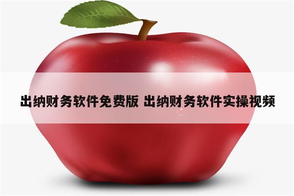 出纳财务软件免费版 出纳财务软件实操视频