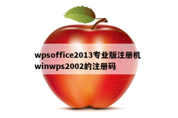 wpsoffice2013专业版注册机 winwps2002的注册码