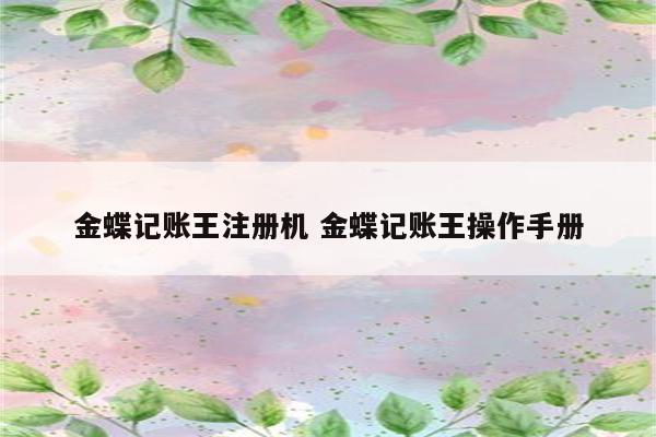 金蝶记账王注册机 金蝶记账王操作手册