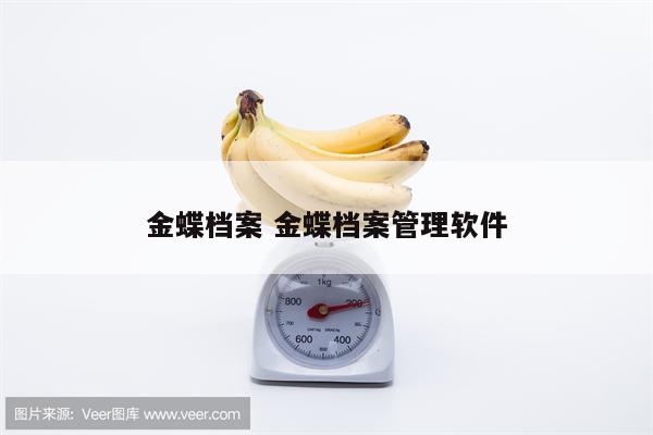 金蝶档案 金蝶档案管理软件