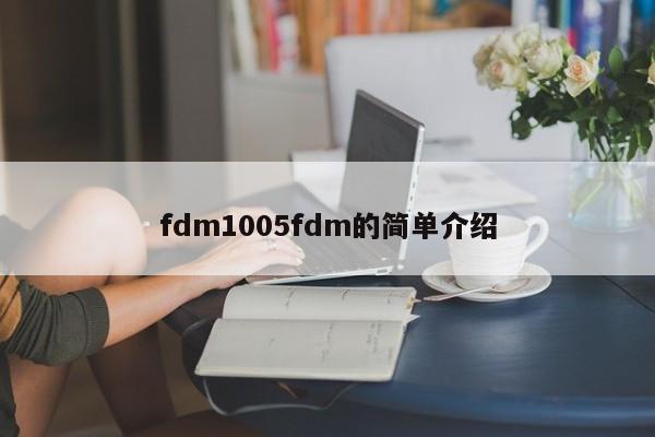 fdm1005fdm的简单介绍