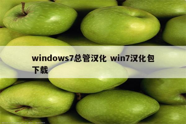 windows7总管汉化 win7汉化包下载