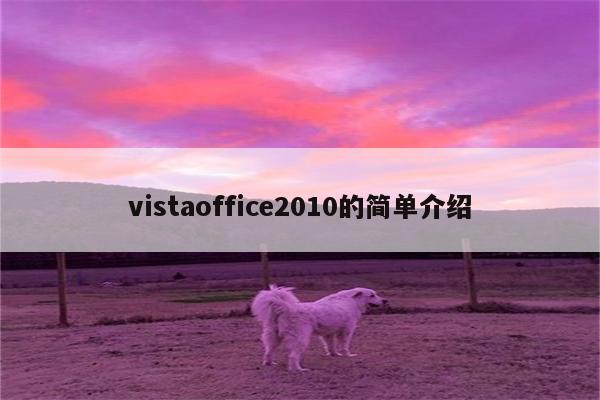vistaoffice2010的简单介绍