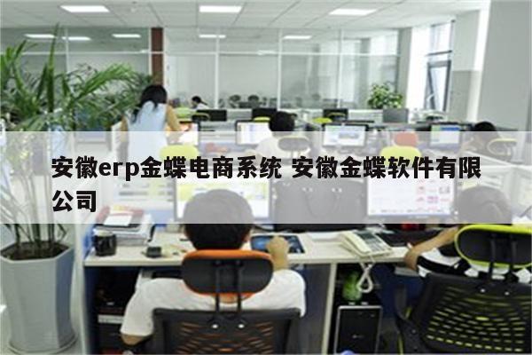 安徽erp金蝶电商系统 安徽金蝶软件有限公司