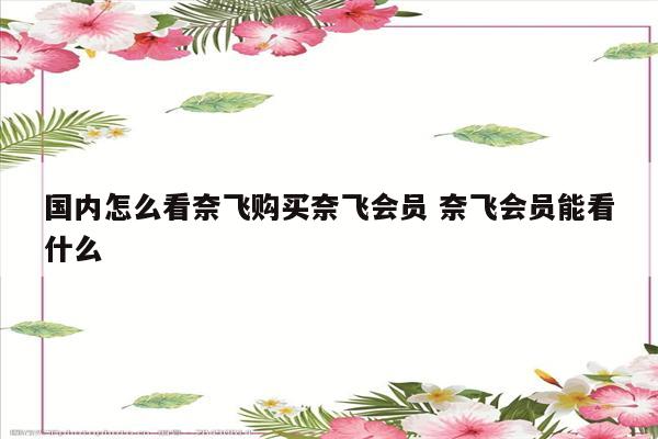 国内怎么看奈飞购买奈飞会员 奈飞会员能看什么