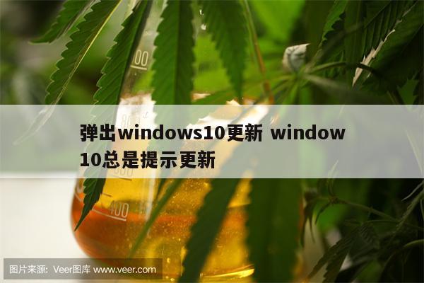 弹出windows10更新 window10总是提示更新
