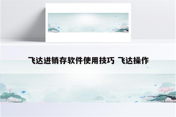 飞达进销存软件使用技巧 飞达操作
