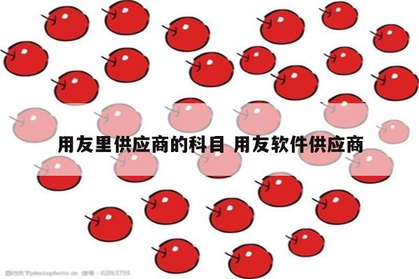 用友里供应商的科目 用友软件供应商