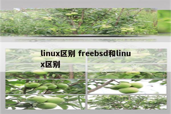 linux区别 freebsd和linux区别