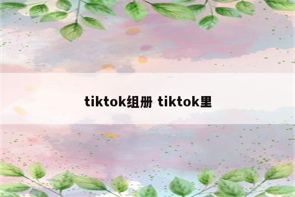 tiktok组册 tiktok里