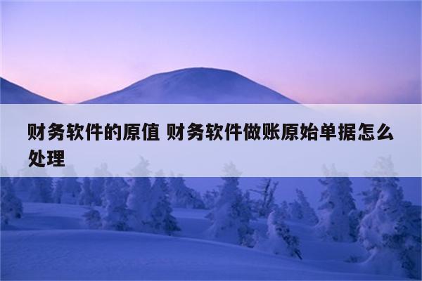 财务软件的原值 财务软件做账原始单据怎么处理