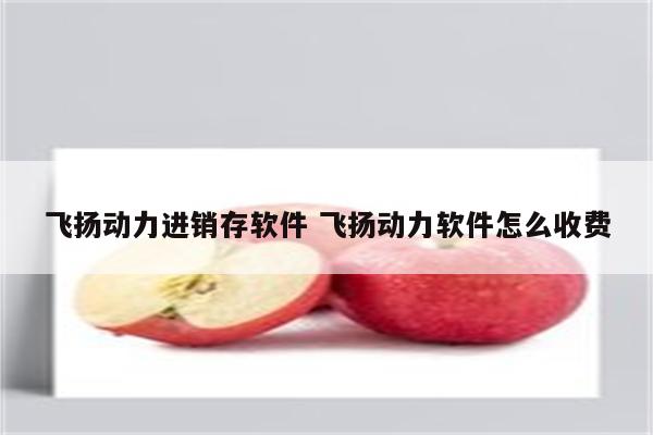 飞扬动力进销存软件 飞扬动力软件怎么收费