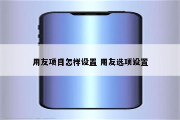 用友项目怎样设置 用友选项设置
