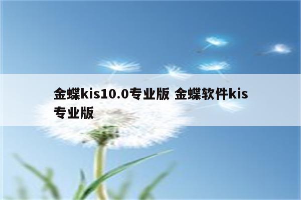 金蝶kis10.0专业版 金蝶软件kis专业版