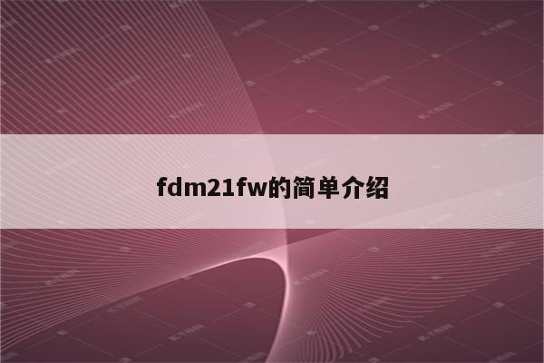 fdm21fw的简单介绍