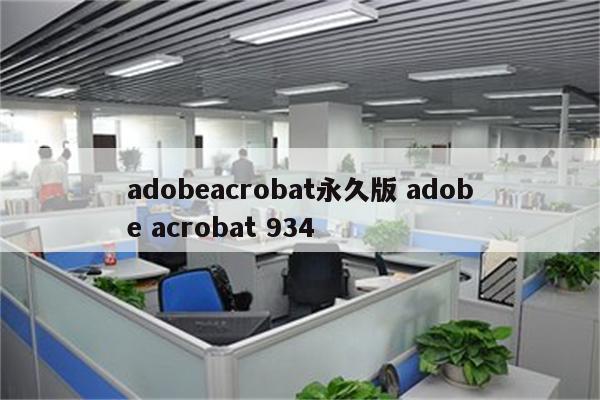 adobeacrobat永久版 adobe acrobat 934