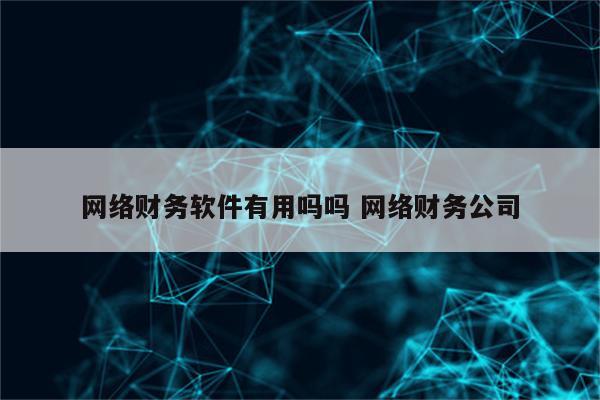 网络财务软件有用吗吗 网络财务公司
