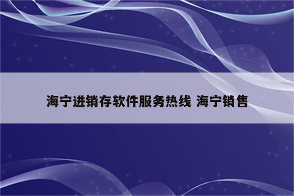 海宁进销存软件服务热线 海宁销售