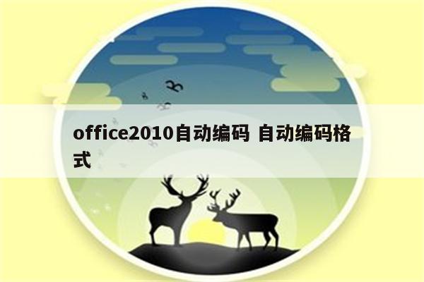 office2010自动编码 自动编码格式