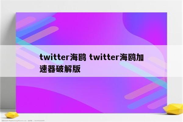 twitter海鸥 twitter海鸥加速器破解版