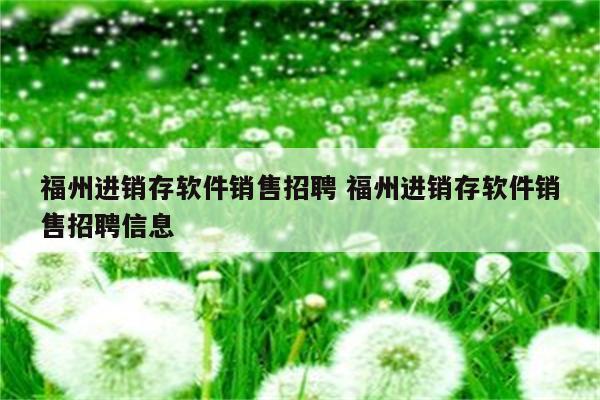 福州进销存软件销售招聘 福州进销存软件销售招聘信息
