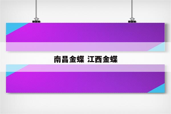 南昌金蝶 江西金蝶