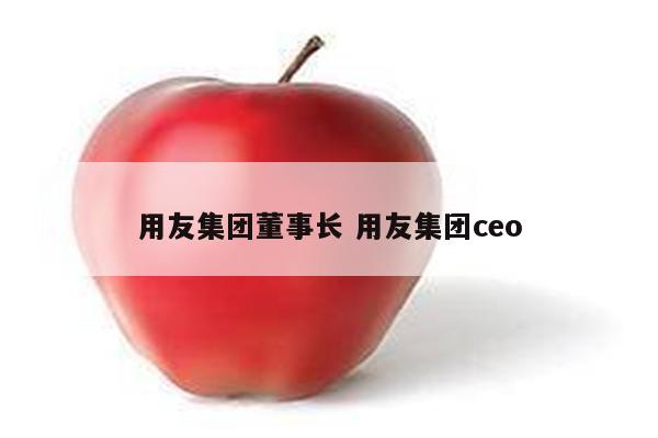 用友集团董事长 用友集团ceo