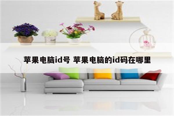 苹果电脑id号 苹果电脑的id码在哪里