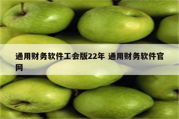 通用财务软件工会版22年 通用财务软件官网